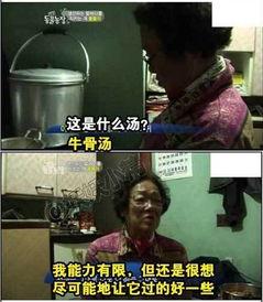 爆料婆婆后续故事视频播放,惊人真相揭露家庭风云 第3张 爆料婆婆后续故事视频播放,惊人真相揭露家庭风云 第3张